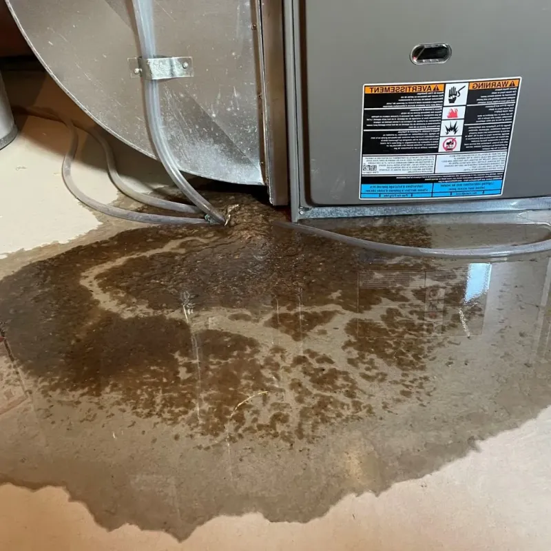 Pipe Burst and Leak Restoration in Stow, OH
